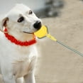 thumbnail image 2 of Pelota de juguete interactivo para masticar con cuerda EVA, portátil, resistente a mordeduras, para entrenamiento de perros (amarilla), 2 of 11