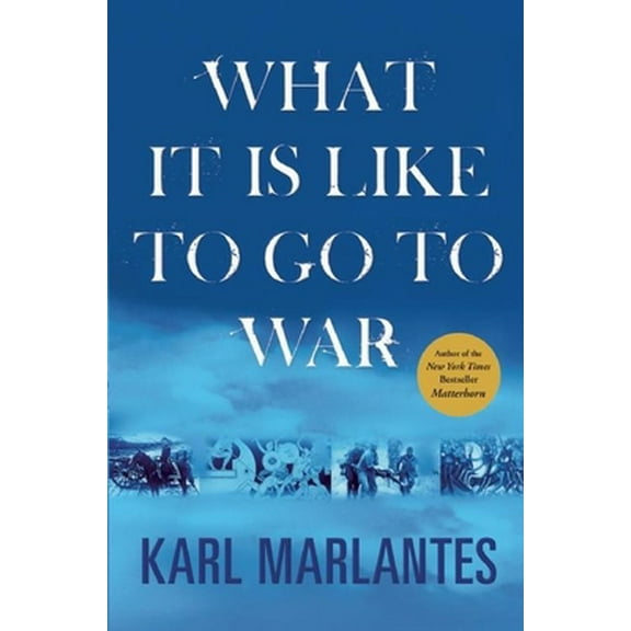 Pre-Owned What It Is Like to Go to War (Hardcover) 0802119921 9780802119926