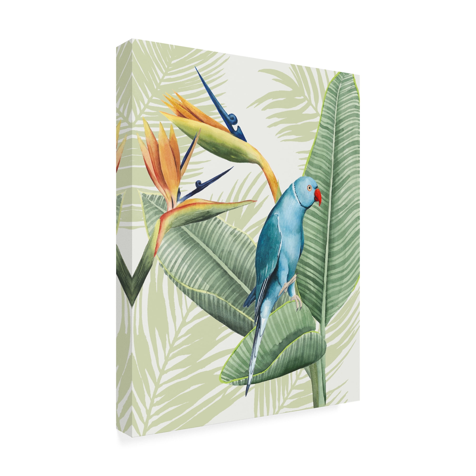 Trademark Fine Art 'Avian Paradise Iii' Canvas Art by Grace Popp