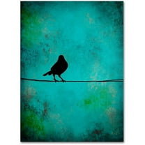 Trademark Fine Art "Bird's Attention" Canvas Art by Nicole Dietz
