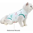 thumbnail image 4 of Anlitent Soft Cat Professional Recovery Suit for Small Cat Extra Small, Outdoor Fits Indoor Cat Clothing E-Collar Alternative for Kitten Kitty, 4 of 5