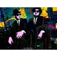 thumbnail image 4 of Stephen Chambers 14x11 White Modern Wood Framed Wall Art Titled - Jake And Elwood, 4 of 6