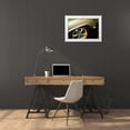 thumbnail image 3 of Hausenflock, Alan 14x11 White Modern Wood Framed Museum Art Print Titled - Rear Wheel Power I, 3 of 4