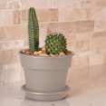 thumbnail image 2 of Bloem Dura Cotta Planter 6" Pebble Stone, 2 of 6