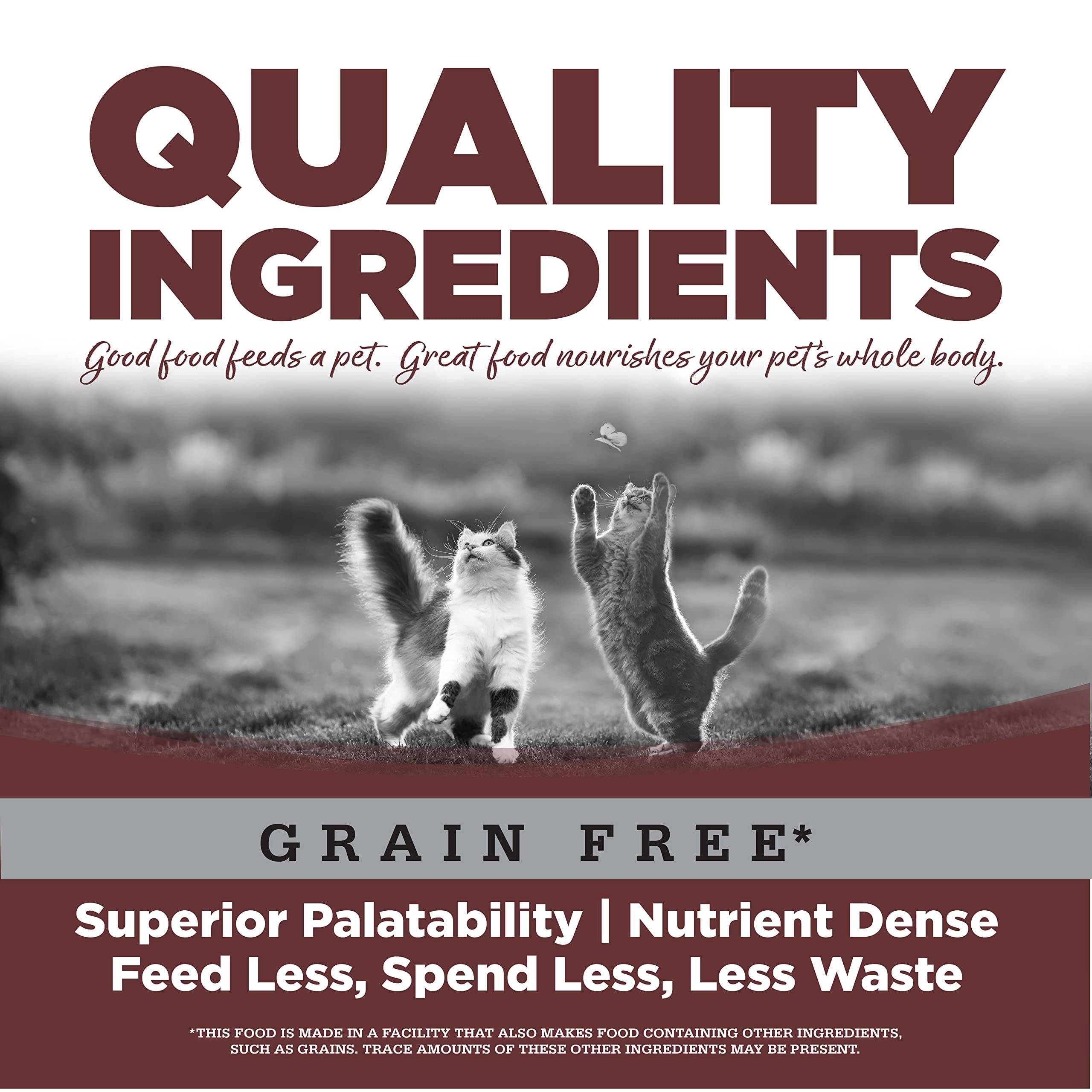 NutriSource Grain Free Wet Cat Food, Cat & Kitten, Turkey and Turkey Liver, 5.5 Ounce Pack of 12 — Construction & DIY Use, Standard Hardware Spec