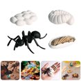 thumbnail image 3 of Miangastore Cognitive Toy Insect Model Assorted Color 8Pcs 4.3X3.1X1.2in, 3 of 8