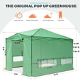 thumbnail image 2 of EAGLE PEAK 12x8 Portable Large Walk-in Instant Greenhouse with Support Pole, Pop-up Outdoor Plant Gardening Green House Canopy, Green, 2 of 10