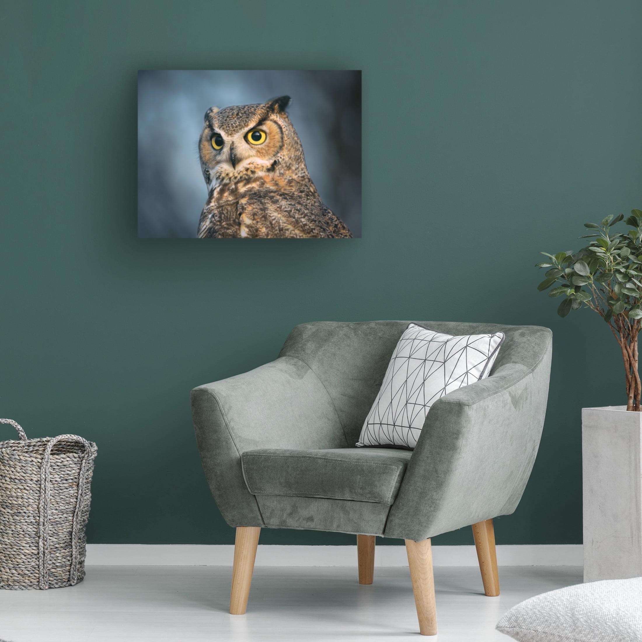 Trademark Fine Art Li Chen The eyes are the windows of the soul Canvas Wall Art
