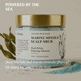 thumbnail image 6 of ature Skin Shop Marine Mineral Scalp Ritual Scrub, 8 Ounces - 2-in-1 Foaming Cleanser for Hair Density Appearance - Detoxifying Scalp Reset, 6 of 7