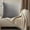 E, variant on Decorative Throw Pillow Cushion, Solid Color Velvet Pleated Pillowcase for Sofa Headboard Office Lumbar Support, Waist Protection, Quilted Polyester Velvet, 1 Piece