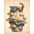 thumbnail image 2 of Joakim Skovgaard 15x18 Gold Ornate Wood Frame and Double Matted Museum Art Print Titled - Preparation for Vase Decorated with Plastic Designed Hose and Mushrooms (1888), 2 of 4