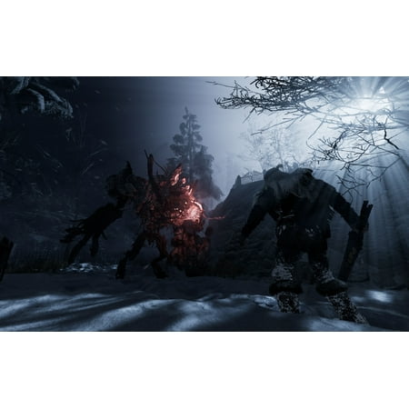 Fade to Silence, THQ-Nordic, Xbox One, 811994021427