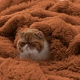 thumbnail image 2 of GentleSoft Fuzzy Sherpa Faux Fur Twin Blanket Burnt Orange Cozy Gifts for Women Men, Soft Fleece Plush Warm Thick Blanket Twin Size for Bed, Room Dorm Essentials Orange Decor Gifts, 60x80, 2 of 8