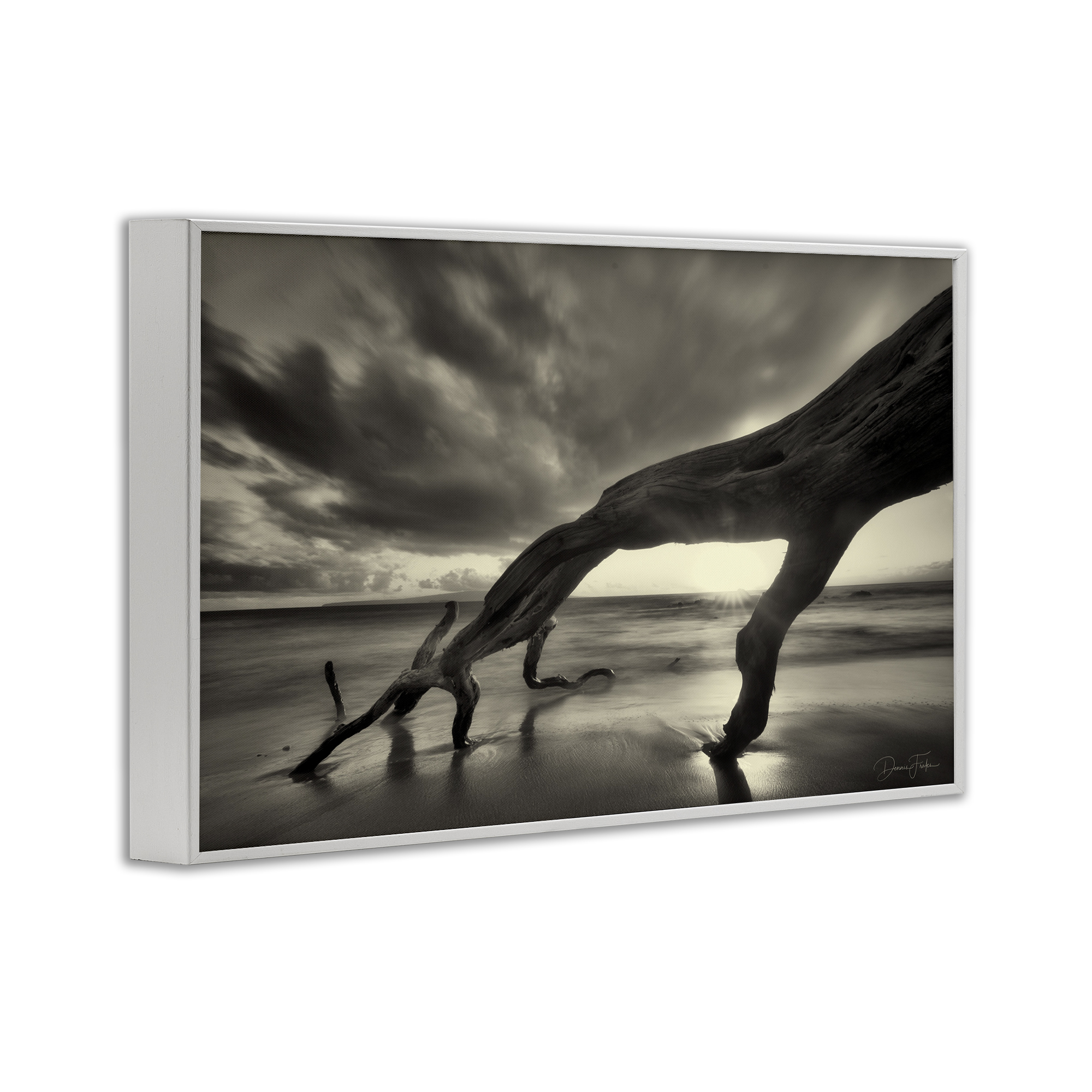 Stupell Industries Tree Trunk on Shore Landscape Photography White Framed Art Print Wall Art, 30 x 20