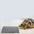 thumbnail image 4 of Plato de piedra para reptiles, para tortuga, lagarto y gecko, plato decorativo para tomar el sol, plato de alimentación para serpientes y tortugas, plataforma de piedra para tomar el sol para reptiles, 4 of 8