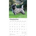 thumbnail image 4 of Cairn Terriers | 2026 12x24" (Hanging) Wall Calendar | Plastic-Free | BrownTrout, 4 of 9
