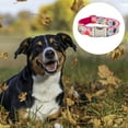 thumbnail image 3 of Cute bubble pet collar Pet supplies high-end dog collar outdoor dog collar, 3 of 5
