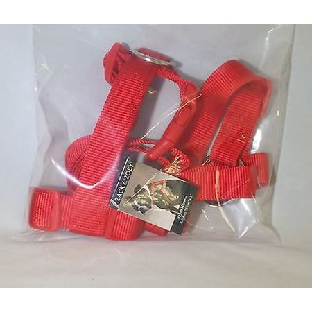 Zack & Zoey 1-Inch Nylon Dog Harness with Nickel-Plated D-ring and Plastic Buckles, Tomato Red