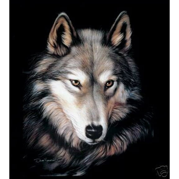 queen indigo blanket