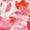 Water Color Floral Print, variant on Isaac Mizrahi NY Women's 5" Inseam Stretch Tailored Trouser Shorts (Lemon Lime Scattered Print, 16)