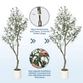 thumbnail image 4 of Yeshouse Olivo artificial con maceta, ramas flexibles para aspecto realista, ideal para decoración de hogar y oficina, árbol sin mantenimiento para vegetación de interior, 4 of 7