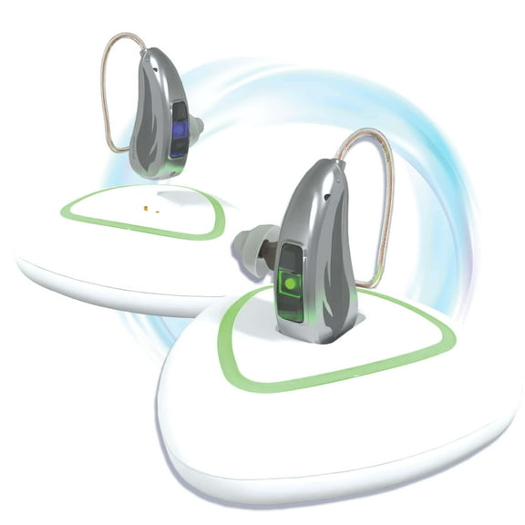 EarCentric RIE OTC RIC Hearing Sound Amplifiers Aids for Ears Rechargeable Seniors with Noise Reduction [1 Pair, Silver]