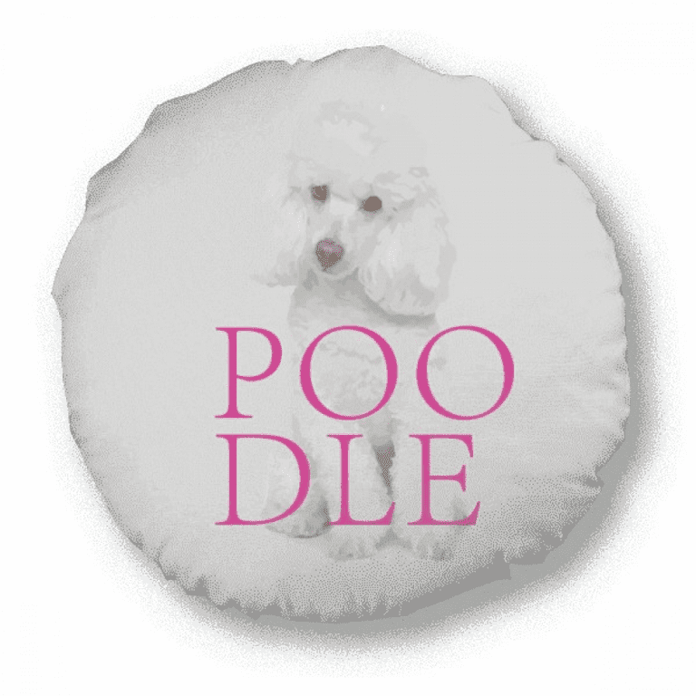 Pillow top pets poodle