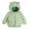 thumbnail image 2 of fnnxnal Toddler 3T Green Puffer Jacket - Cute Dinosaur Embroidery, Hooded with Ears, Warm Winter Coat, Water-Resistant Nylon Spandex, 2 of 4