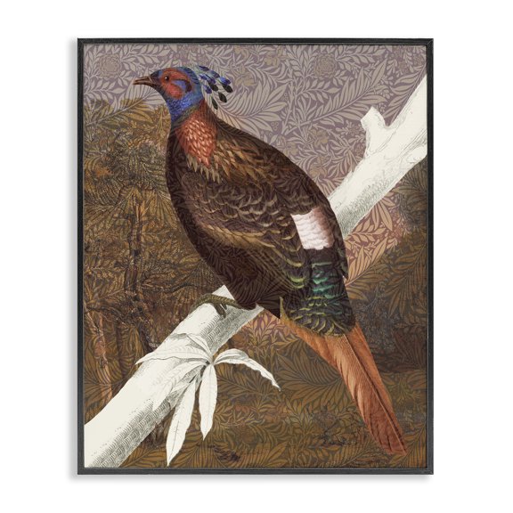 Stupell Industries Eclectic Floral Patterned Pheasant Black Framed Giclee Art, 11 x 14, by Lil' Rue