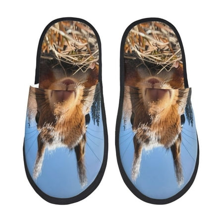 Balery Close-Up Curious Squirrel Slient Indoor Furry Fleece Comfort House Shoes Soft Non-Slip Home Shoes Cotton slippers House Slippers-- Large