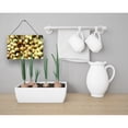 thumbnail image 2 of Onions by Gary Kwiatek Wall or Door Hanging Prints, 2 of 2