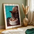 thumbnail image 6 of Enjoying a Meal  - Photography Cat Animal Kitchen Decor Unframed Wall Art Print 20 x 28 inches, 6 of 60