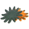 thumbnail image 1 of Modelo de estrella de mar NikouMX 2 piezas juguete, 1 of 8