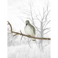 thumbnail image 4 of Falls River Dove Decoy 3 Pack, 4 of 5