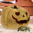 thumbnail image 4 of unbranded Plataforma Y Refugio Para Reptiles Con Cueva De Calabaza En Resina, 4 of 6