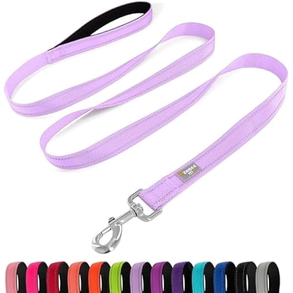 Eryueer Reflective Dog Leash 6 FT Padded Handle Nylon Dogs Leashes for Small Dogs Lavender