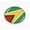 Flexible, variant on Flag of Guyana | 3D Domed CAR Emblem Badge Sticker Semi-Flexible Aluminum Round Bezel