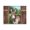 Pastoral Donkey Farmhouse Gate, variant on Stupell Industries Donkey in Wooden Gate Canvas Wall Art, design by George Dyachenko