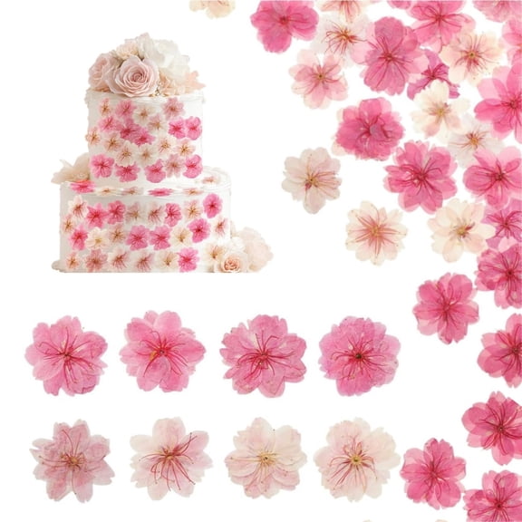 QZS Natural Dried Pressed Cherry Flowers,Set of 48 Cherry Blossom Heads Decoration for Resin Jewelry Making,Cupcake,DIY Art Crafts