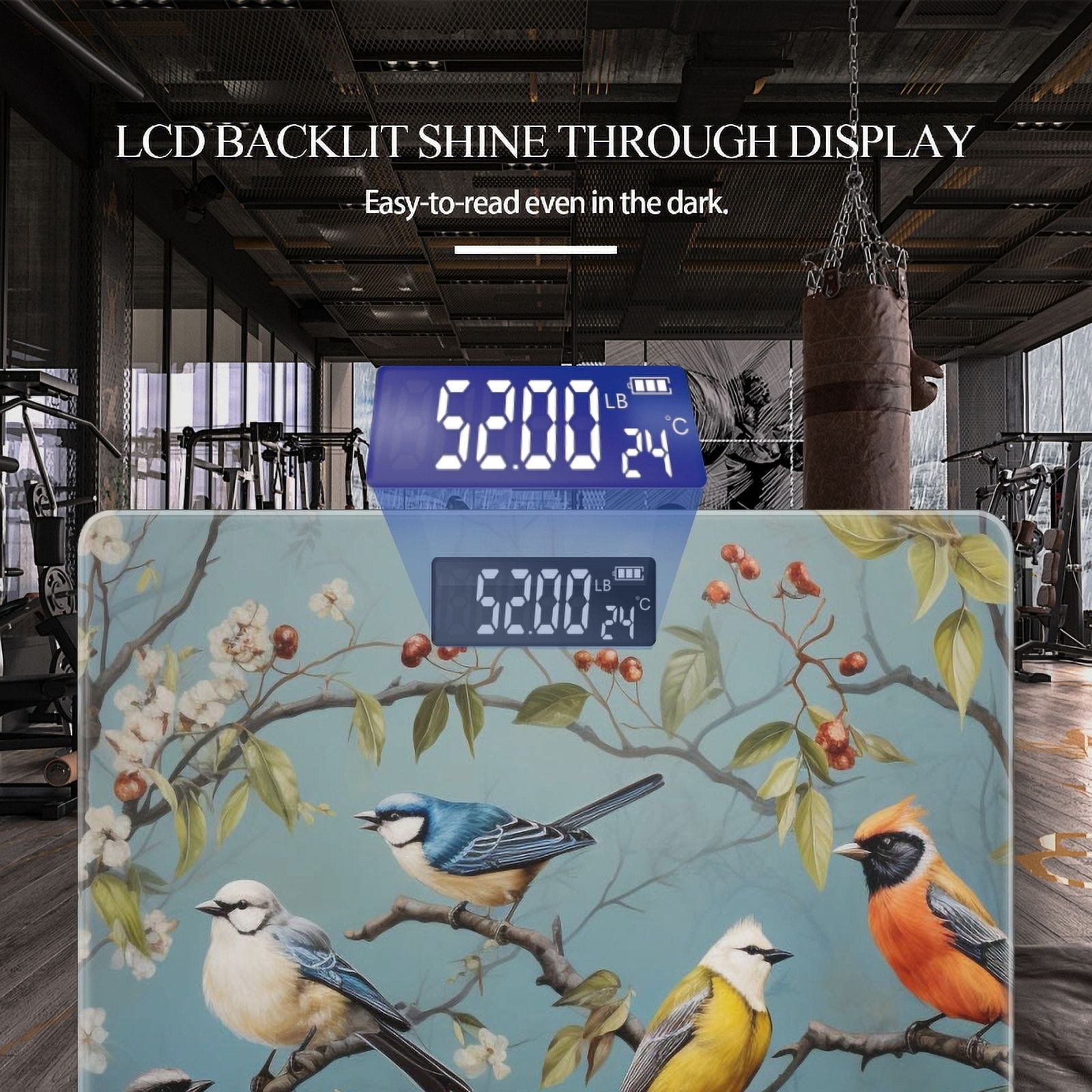 Bathroom Scale, Highly Accurate Digital Body Scale,Precisely Measures Weight up to 400 lbs-Several Birds Perched On Branches With Blossoms And Berries