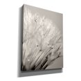 thumbnail image 2 of Epic Graffiti 'Dandelion Jewels I' by Lori Deiter, Canvas Wall Art, 26"x34", 2 of 8