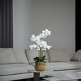 thumbnail image 6 of 30" White Orchid Arrangement in a Large Tan Ceramic Planter | Real Touch White Moth Phalaenopsis Orchids by Fiori Sempre, 6 of 6