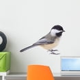 thumbnail image 1 of Black-capped Chickadee Poecile Atricapilla Wall Mural Decal by Wallmonkeys Vinyl Peel and Stick Graphic (18 in W x 13 in H), 1 of 4
