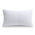 thumbnail image 1 of Phantoscope 20 Pouces x 12 Pouces Insert de Coussin en Polyester, 1 of 7