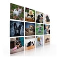 thumbnail image 1 of Set De 12 Cuadros Decorativos Para Veterinaria Ideas Creativas  Cuadro sublimado en tela, 1 of 2