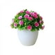 thumbnail image 1 of Plantas Artificiales Falsas Soledad 4x Macetas Decorativas para Jardín, 1 of 7