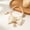 Beige, variant on Vintage Luxury Pet Pearl Collar with Camellia Rhinestone Bow, Elegant Necklace Accessory for Small Cats & Dogs