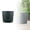 Green, variant on 6.5" Plastic Flower Pots With Drainage Holes And Tray Thickened Round Planter For Indoor Outdoor Plants-White