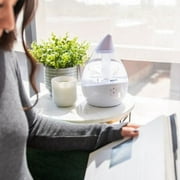 Crane x HALLS® Droplet Cool Mist Humidifier, 0.5 GAL, Clear/White