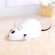 thumbnail image 3 of Juguete de ratón de simulación de peluche para gatos, ratón de cuerda de relojería, alivia el aburrimiento, adecuado para gatos, de peluche, blanco, 3 of 6